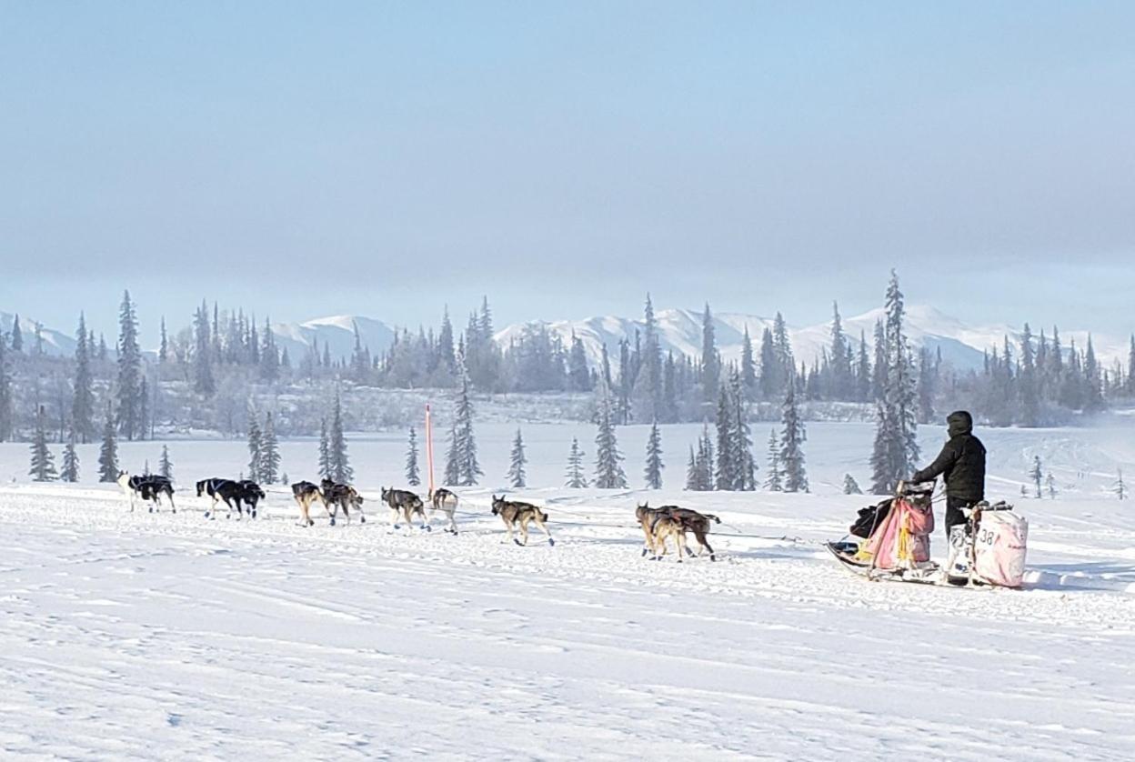 Gwin'S Lodge & Roadhouse Cooper Landing Екстериор снимка